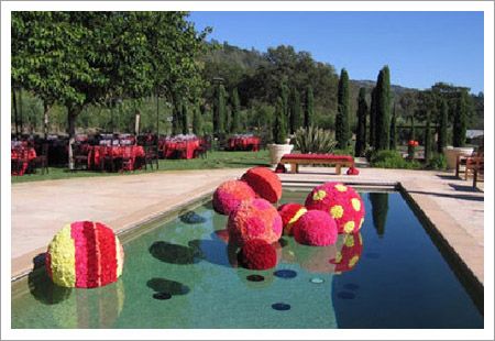 Foto, Proyect Wedding Decoracion boda