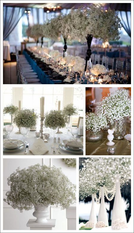 Flores para bodas: Paniculata Flores para bodas: Paniculata