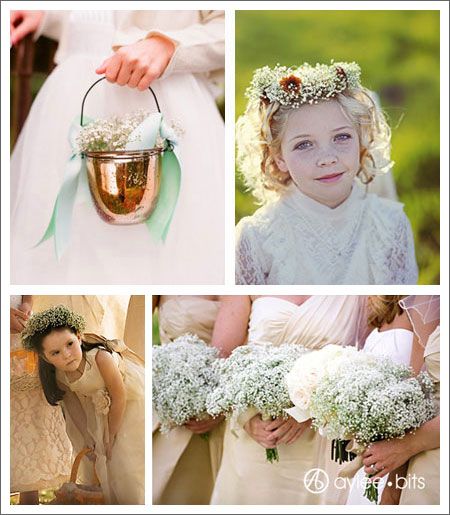 Flores para bodas: Paniculata Flores para bodas: Paniculata