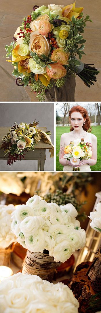 Flores para bodas: Ranunculus Flores para bodas: Ranunculus