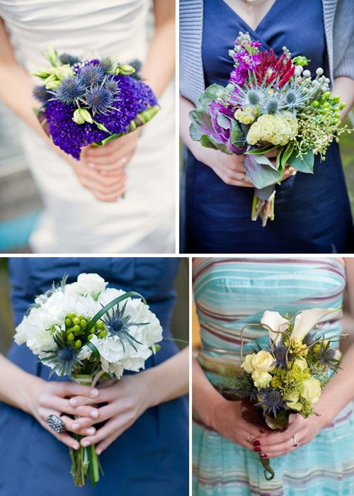 {Flores para bodas} Cardos o eryngium {Flores para bodas} Cardos o eryngium