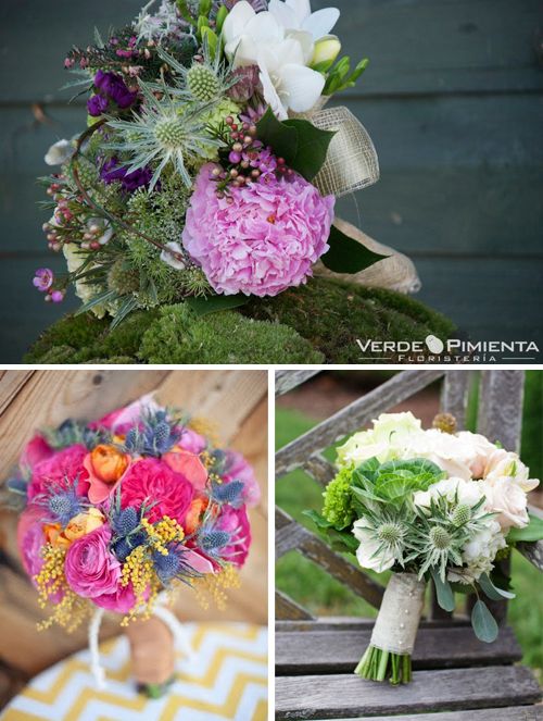 {Flores para bodas} Cardos o eryngium {Flores para bodas} Cardos o eryngium