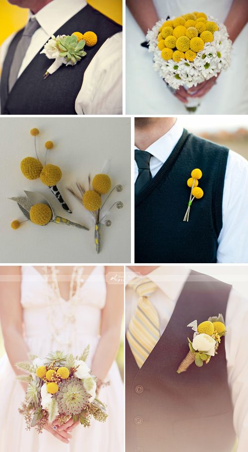 Flores para bodas: Craspedia o Billy button Flores para bodas: Craspedia o Billy button