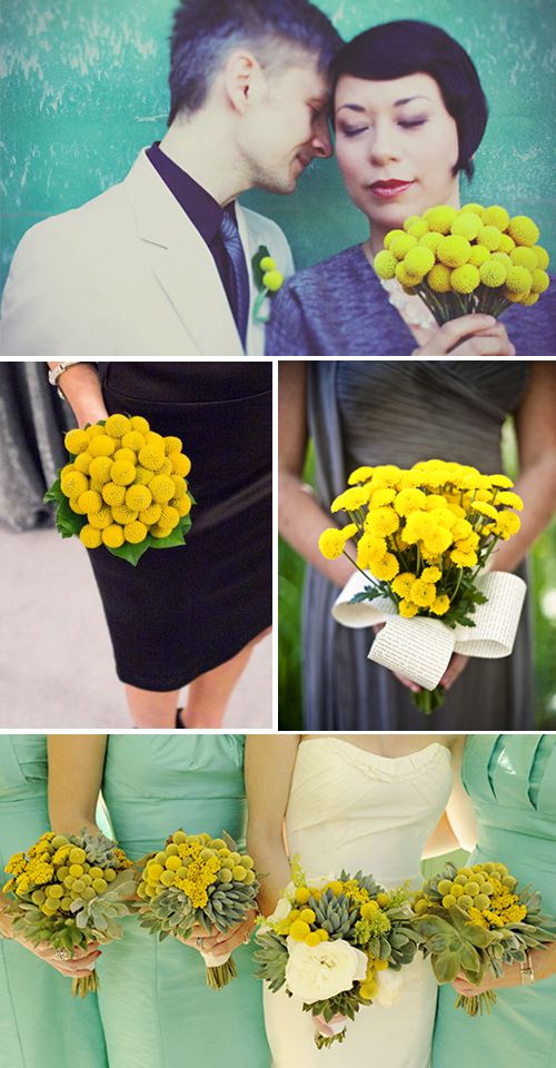 Flores para bodas: Craspedia o Billy button Flores para bodas: Craspedia o Billy button