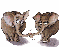 Lovely Couple Elephants