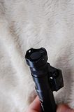 th_DSC_5556.jpg