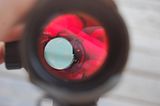 th_DSC_8820.jpg