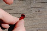 th_DSC_1052.jpg