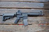 th_DSC_1823.jpg