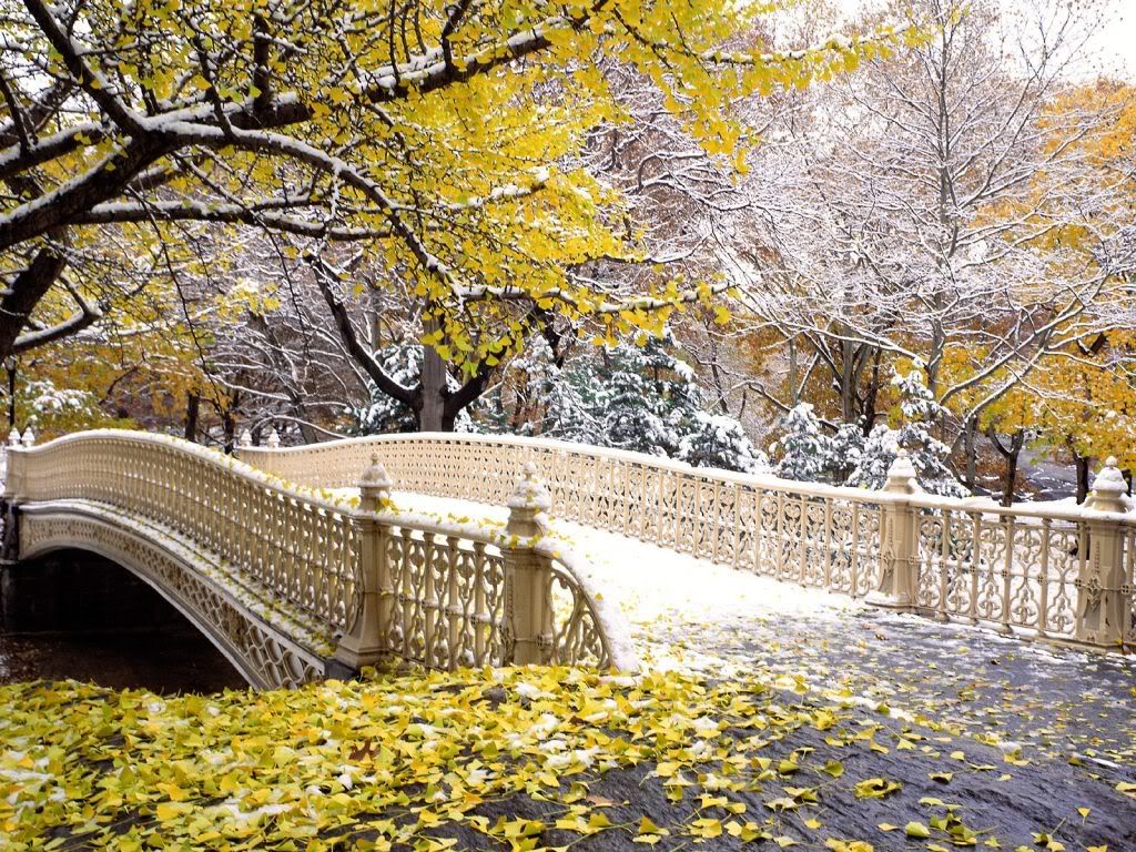 EarlySnowfallCentralParkNewYork.jpg