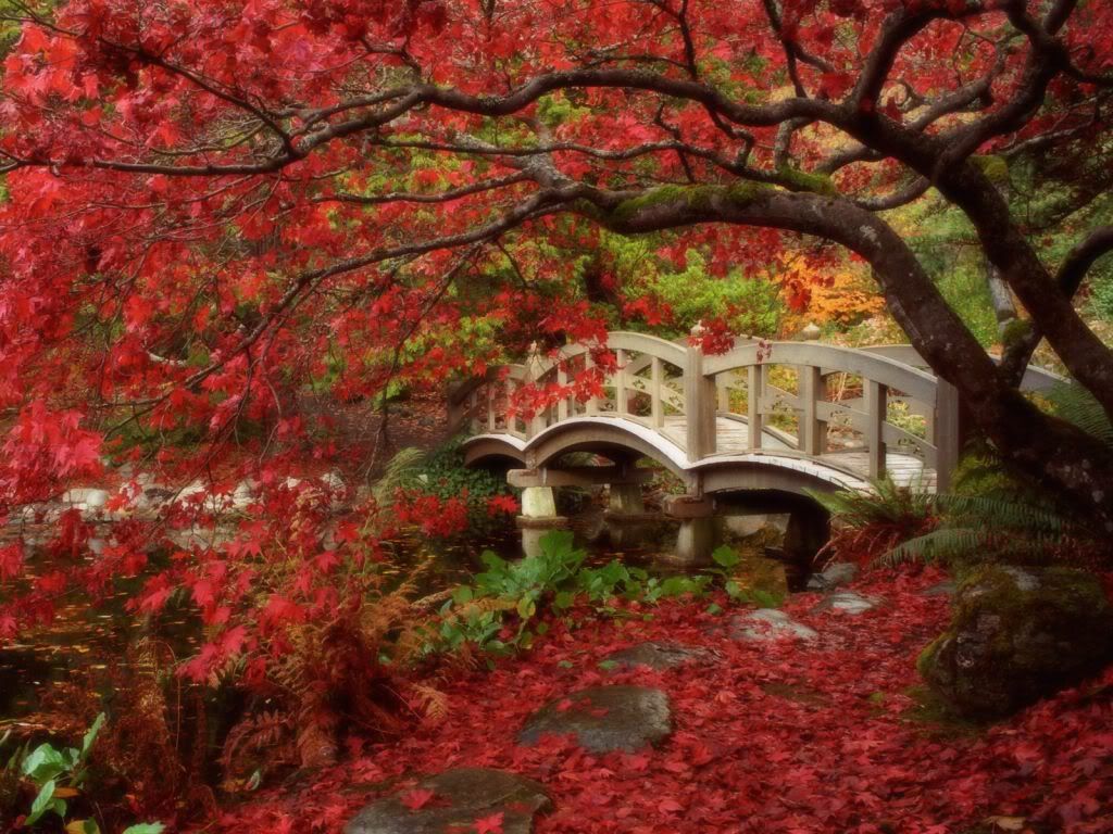 JapaneseGardenRoyalRoadsUniversityB.jpg