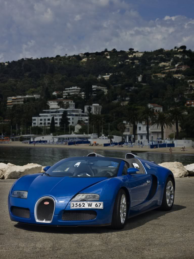 Bugatti-Veyron-Gran-Sport-8.jpg