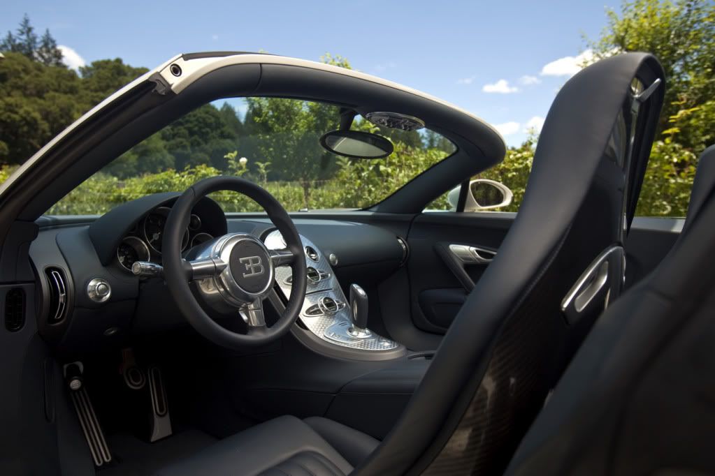 Bugatti-Veyron-Grand-Sport-13.jpg