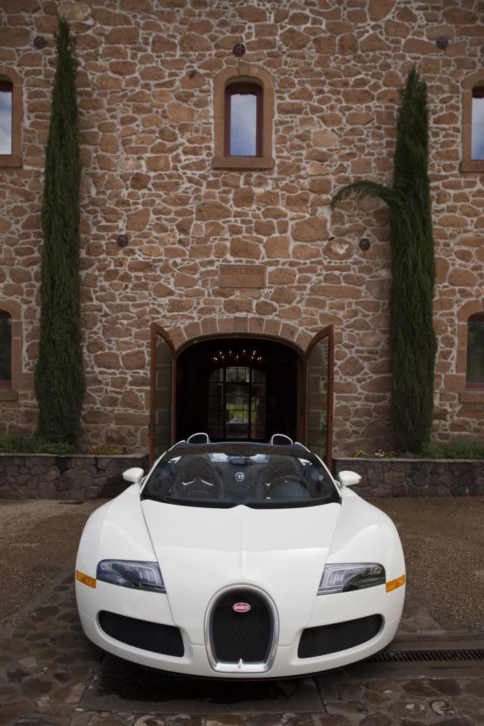 Bugatti-Veyron-Grand-Sport-20.jpg