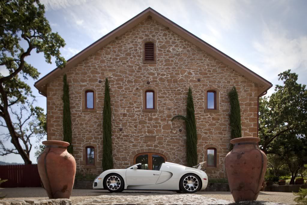 Bugatti-Veyron-Grand-Sport-3.jpg