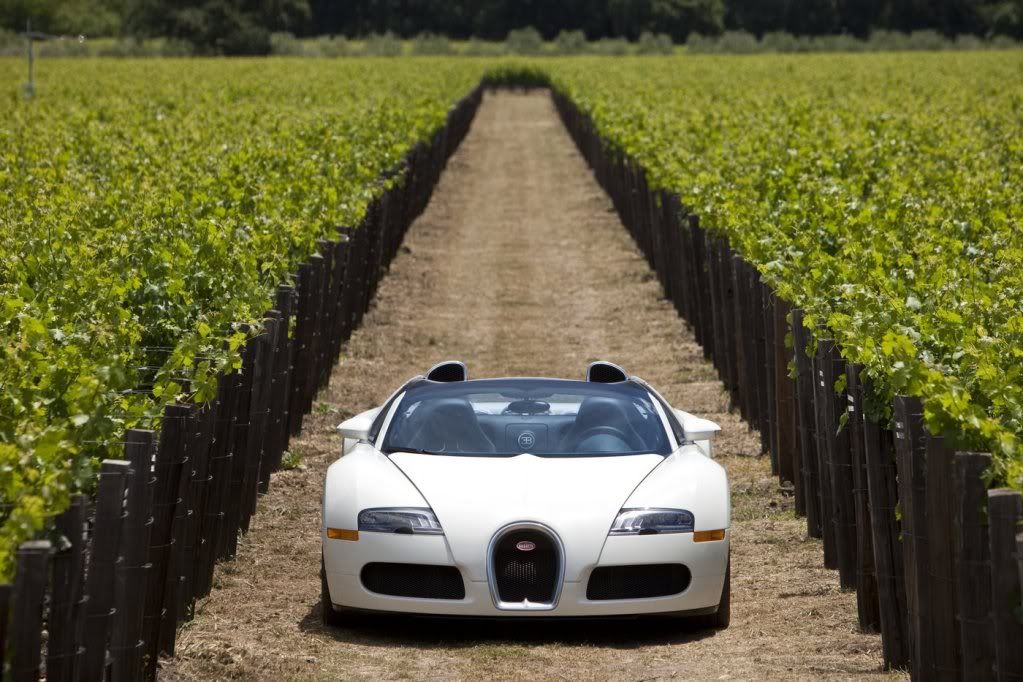 Bugatti-Veyron-Grand-Sport-6.jpg