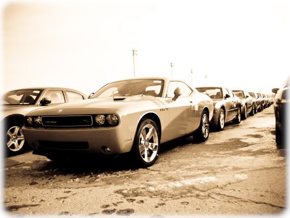 Dodge_Challengers_Military_BaseD-1.jpg