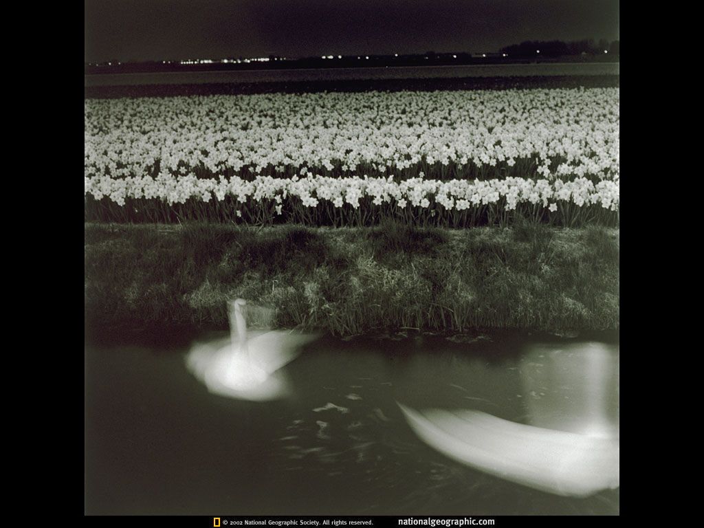 NGM1997_10p100-1.jpg