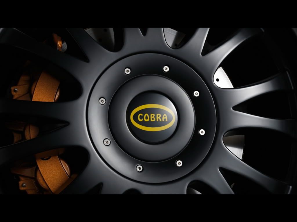 Nissan-GT-R-Cobra-8.jpg