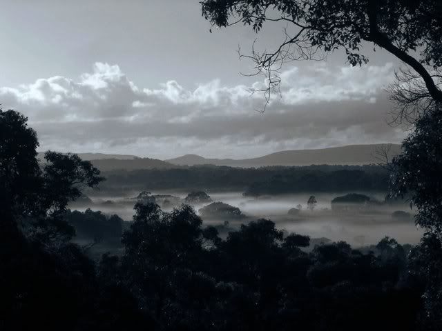 01-1.jpg