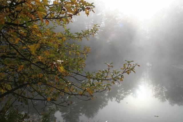 09-1.jpg