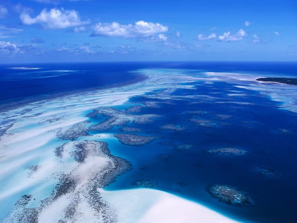 CoralReefTorresStraitIslandsAustral.jpg