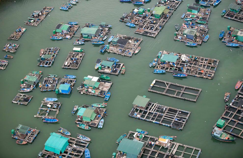 Fish_farm_near_Ma_Wan_Town_Hon.jpg