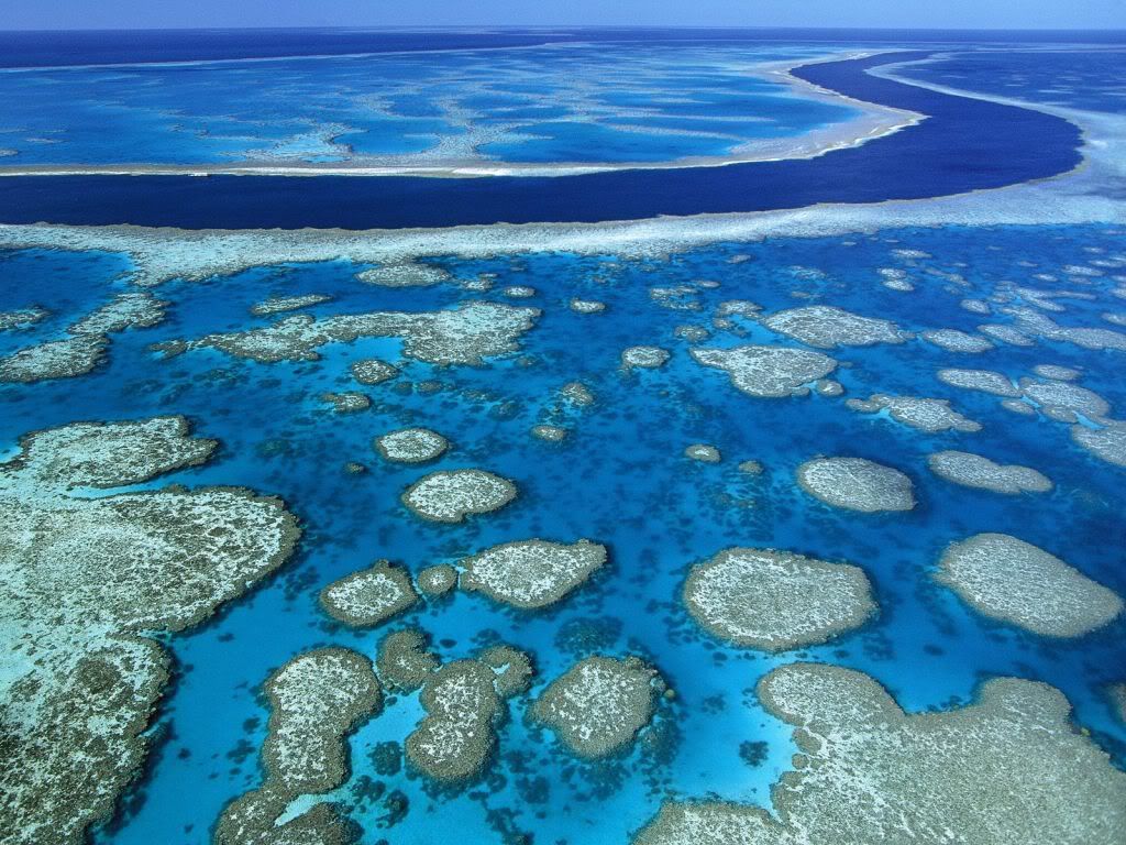 GreatBarrierReefMarineParkQueenslan.jpg