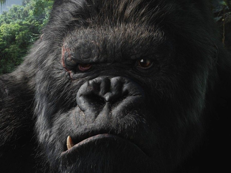 Movie-KingKong01.jpg