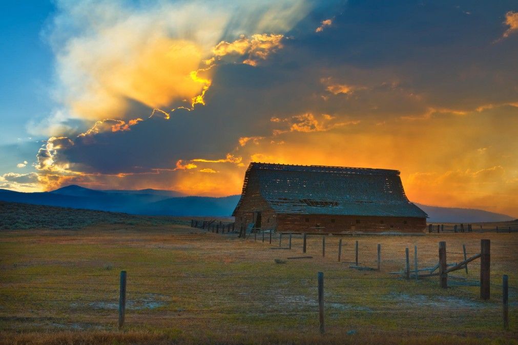 Nature-Farmland-Barn01.jpg
