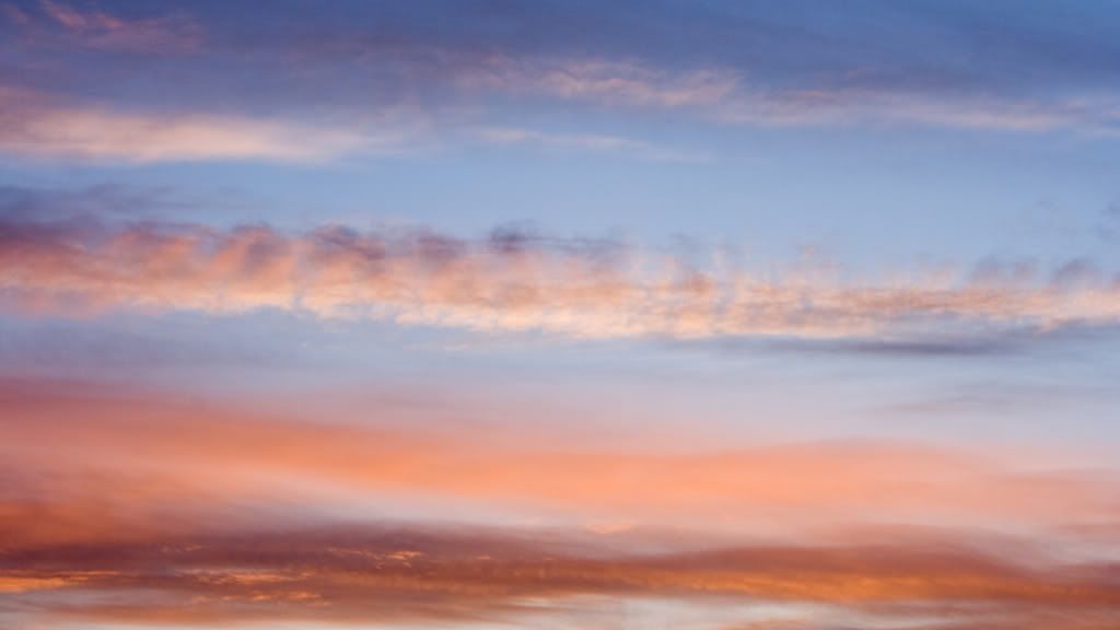 Picture1-1.jpg
