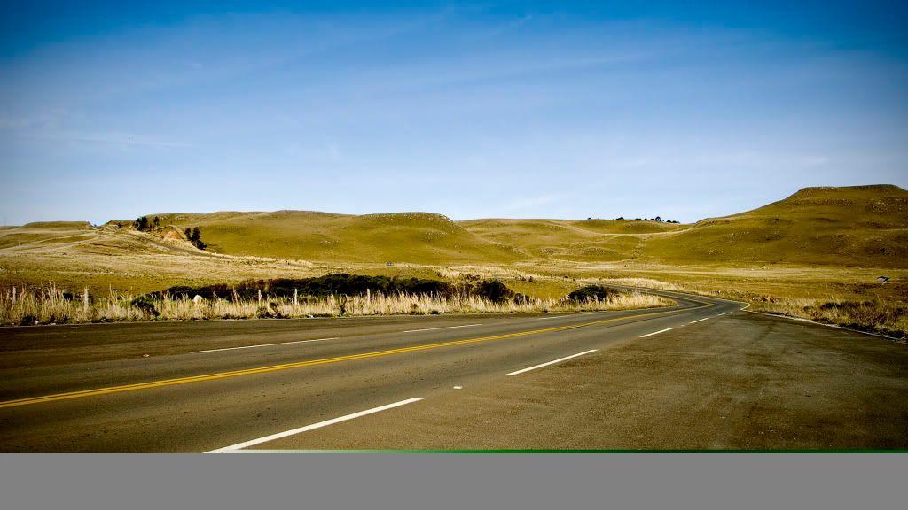 Picture14-1.jpg