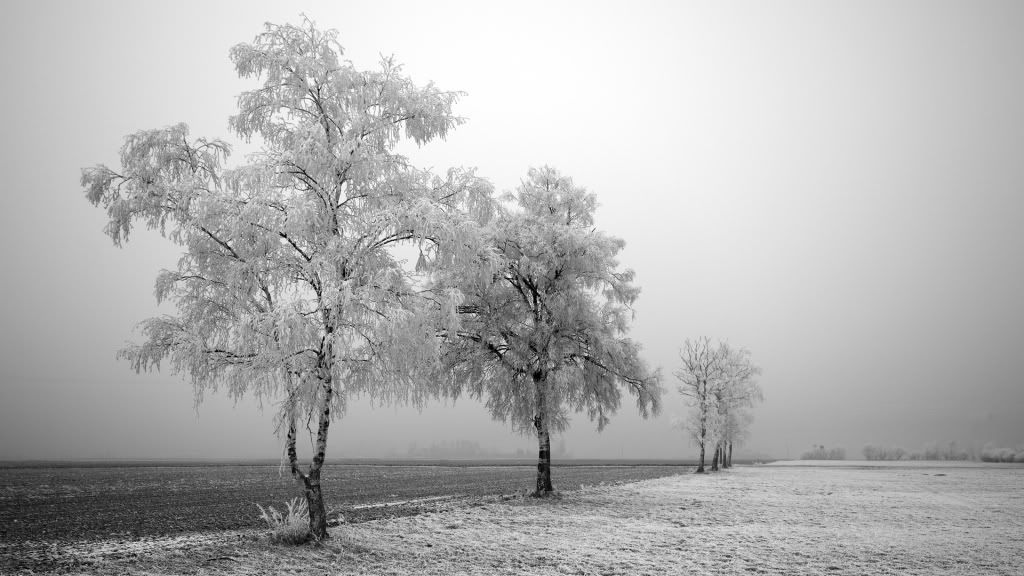 Picture15-1.jpg