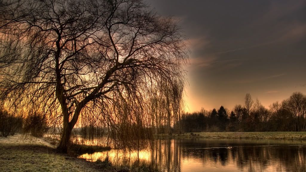 Picture18-1.jpg