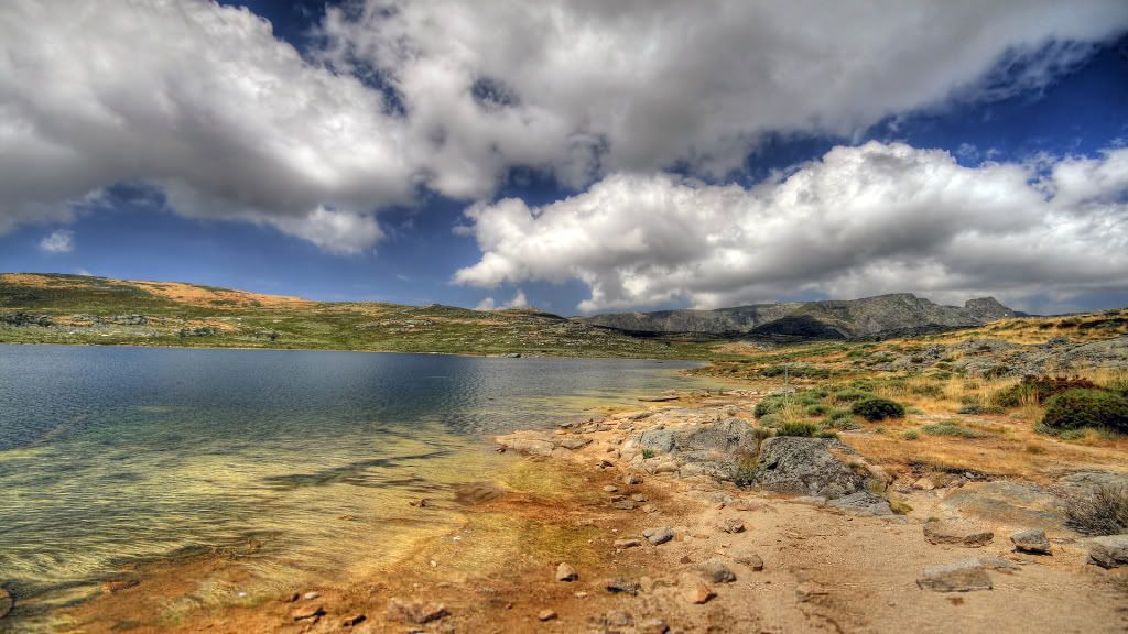 Picture20-1.jpg