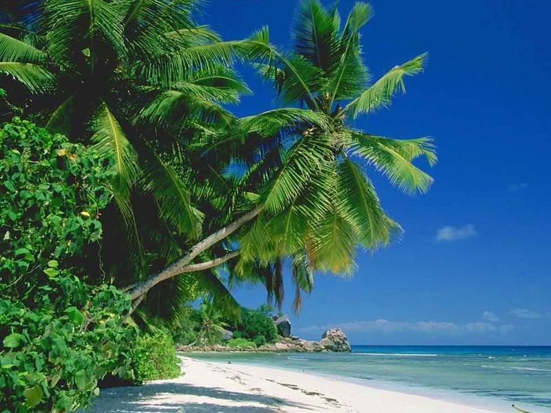 Seychelles_11.jpg