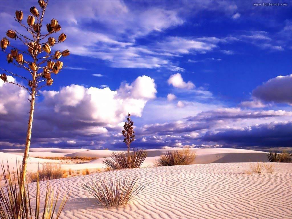 desierto2_1024.jpg