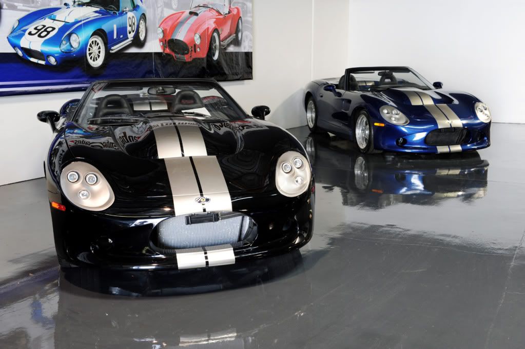shelbyseries1_01.jpg