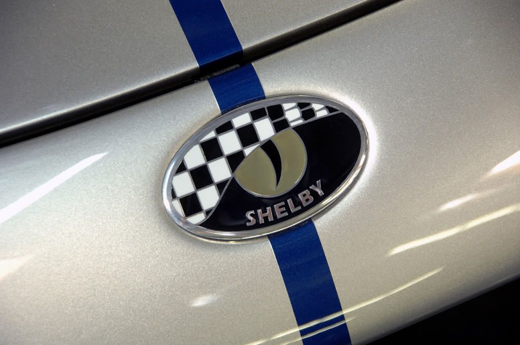 shelbyseries1_09.jpg