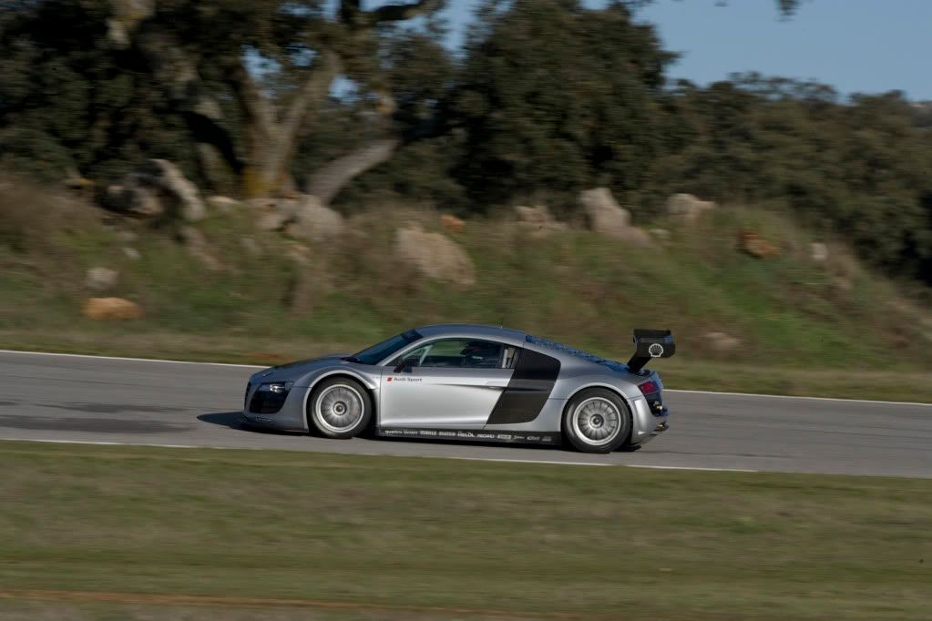 Audi-R8-LMS-7.jpg