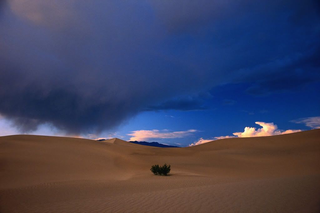 DigitalStockCollection-VisionofN-113.jpg