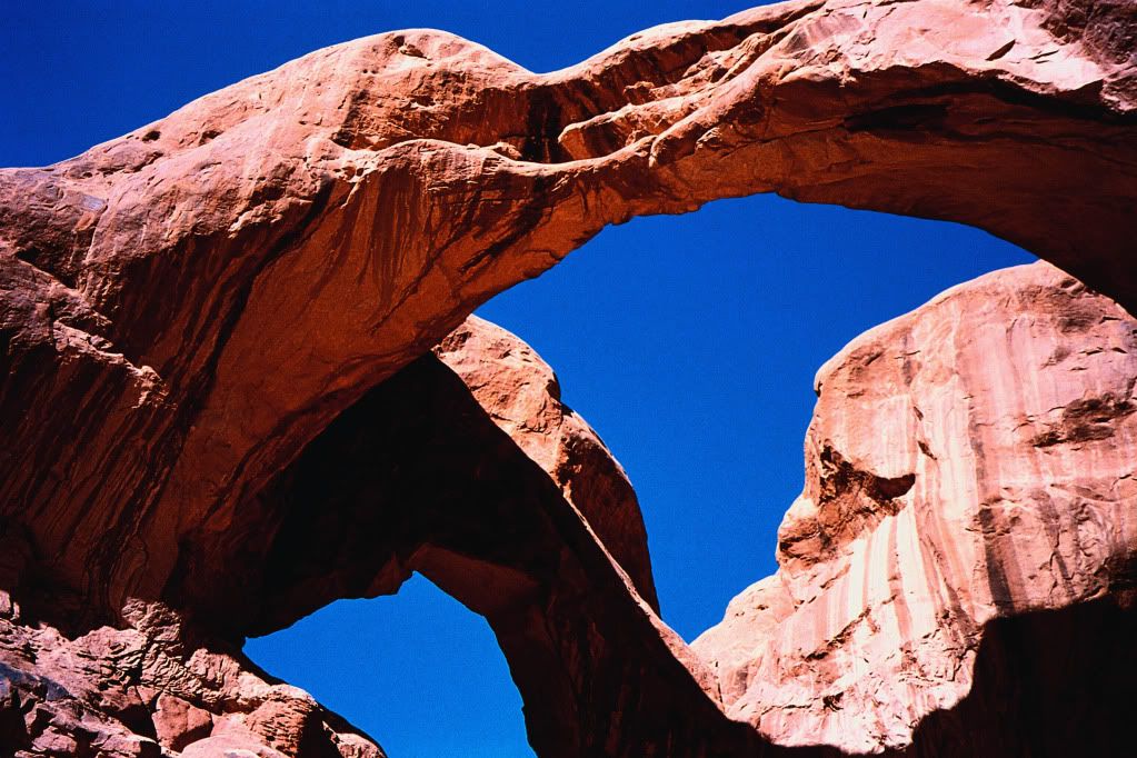 DigitalStockCollection-VisionofN-118.jpg