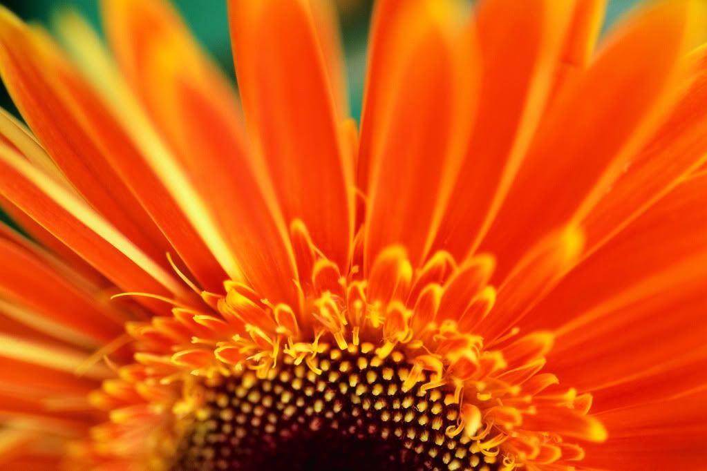 DigitalStockCollection-VisionofN-14.jpg