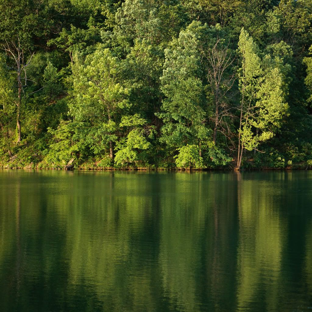 DigitalStockCollection-VisionofN-34.jpg