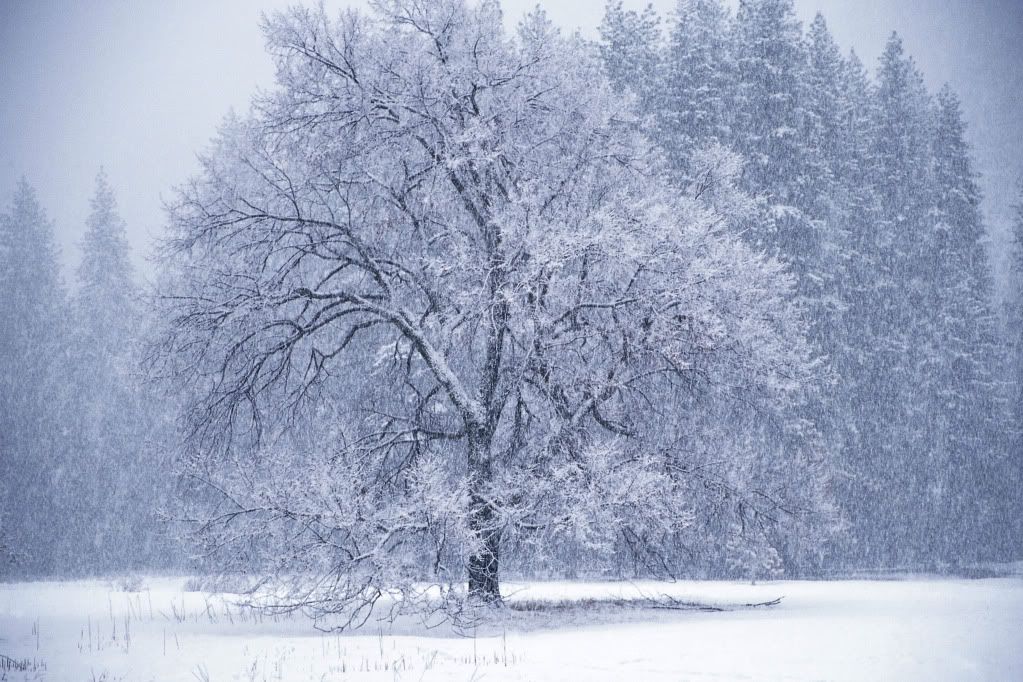 DigitalStockCollection-VisionofN-46.jpg