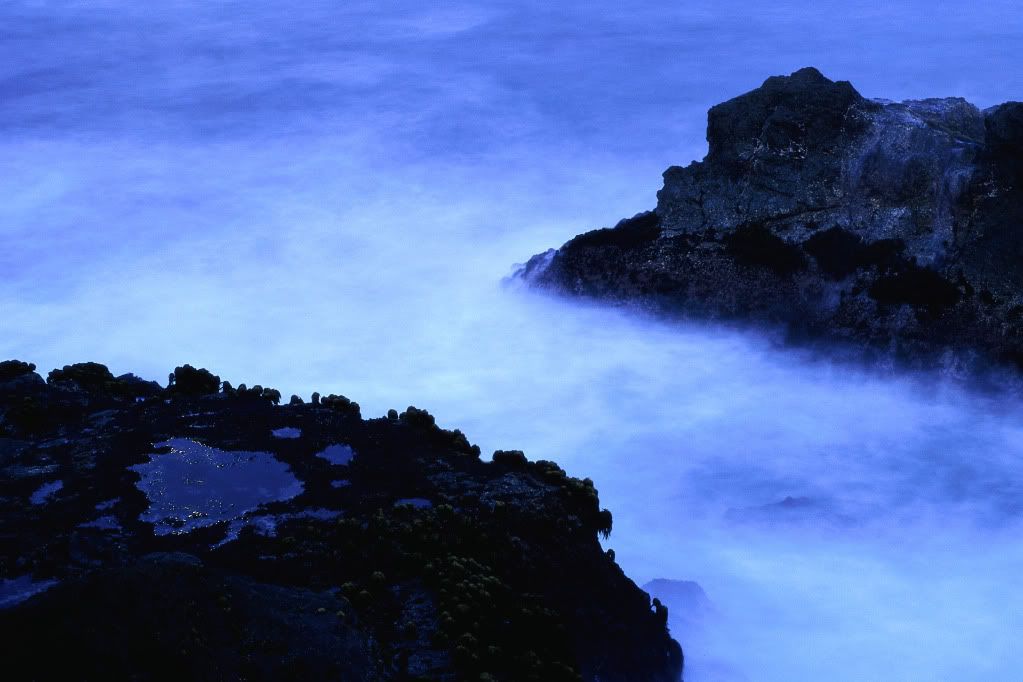 DigitalStockCollection-VisionofN-50.jpg