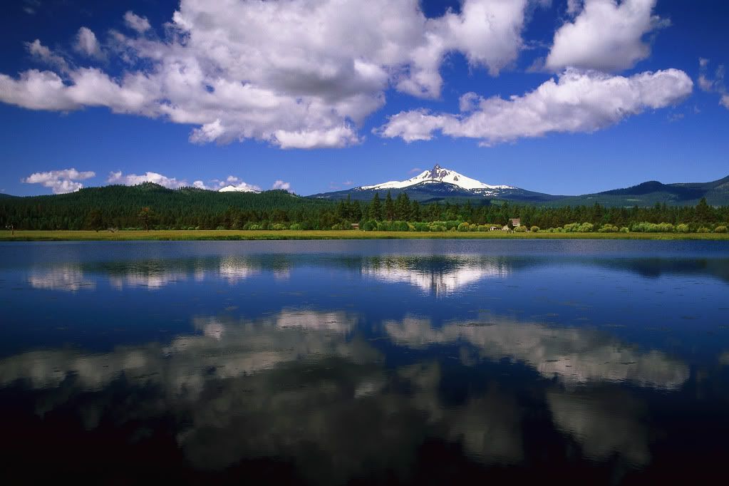 DigitalStockCollection-VisionofN-62.jpg