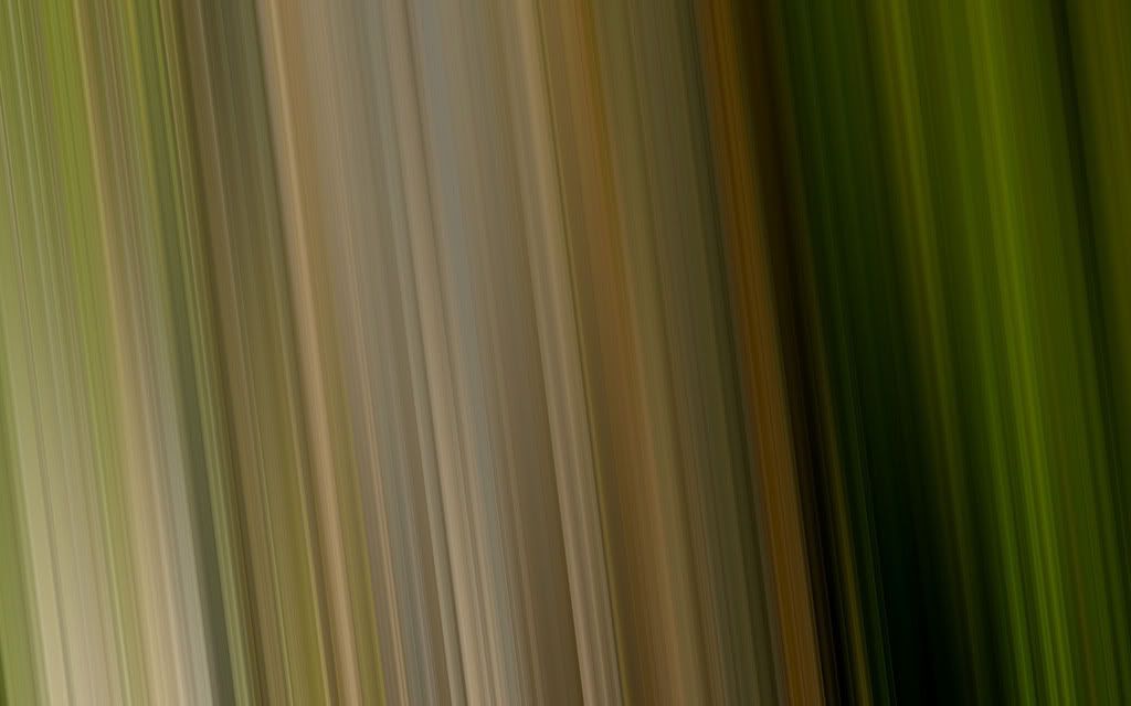64.jpg