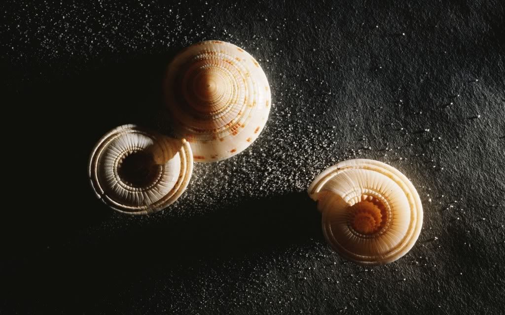80-1.jpg