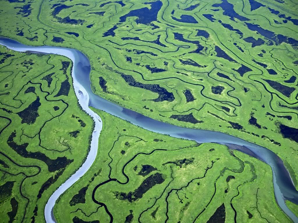 AerialoftheCopperRiverDeltaAlaska.jpg